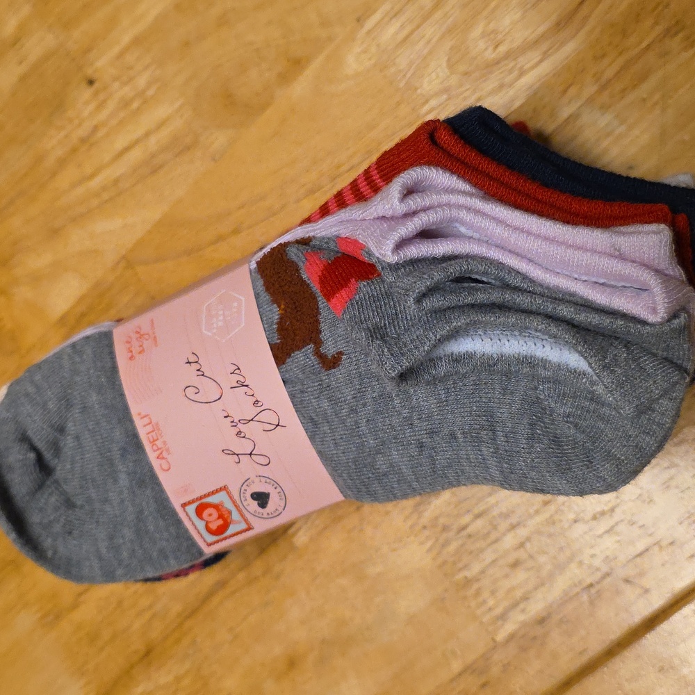 Capelli of New York 10-Pack Low Cut Socks With Daschund & Assorted Color Prints